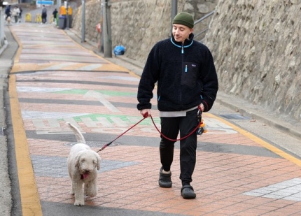 '개모차' 미는 한국인…타일러 "왜 아기 취급 할까요" | 인스티즈