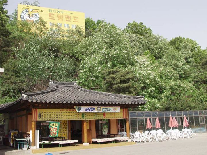 d37992255826c1bfff5236989d93ff83d29e085a