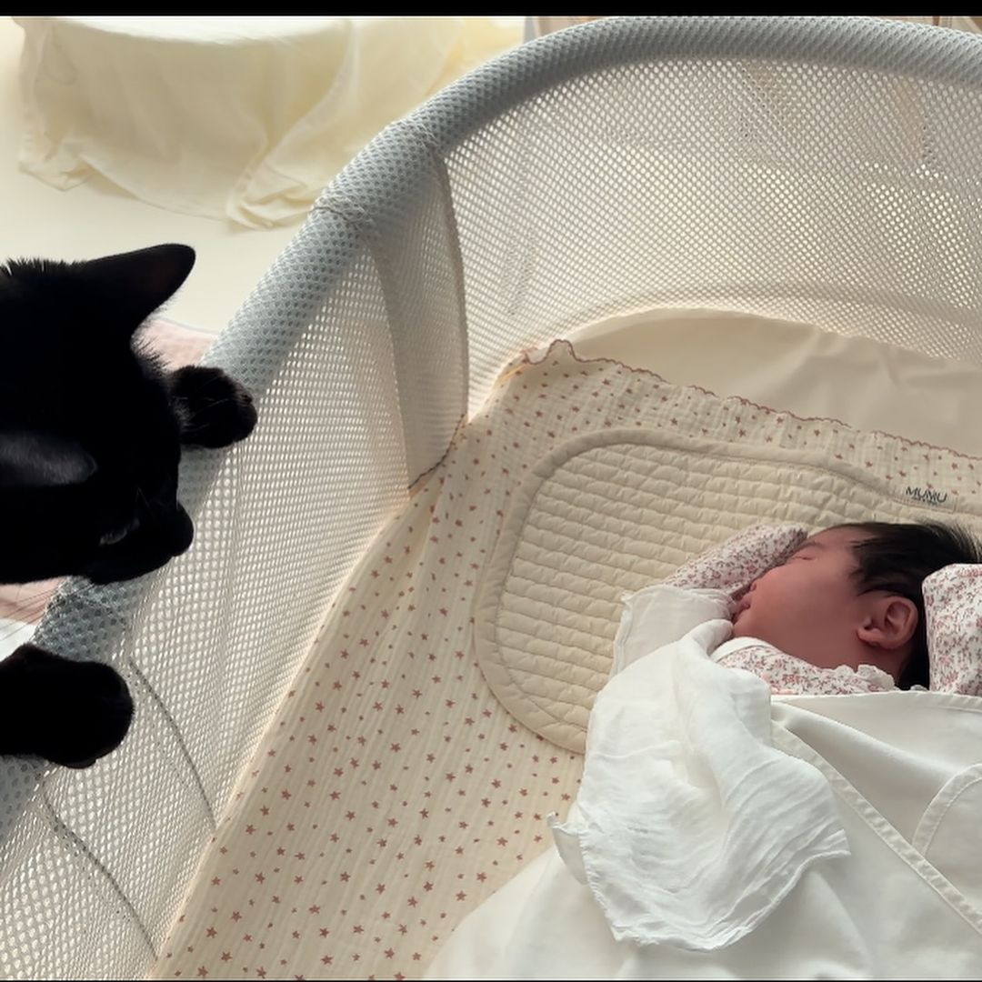 드디어 만난 박수홍 딸 전복이와 다홍이 | 인스티즈