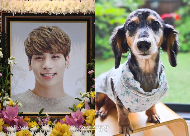 샤이니 故종현 반려견, 무지개다리 건넜다…"벌써 보고 싶어” | 인스티즈