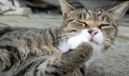 [hahaha] 양어장 일짱 하연님 | 인스티즈