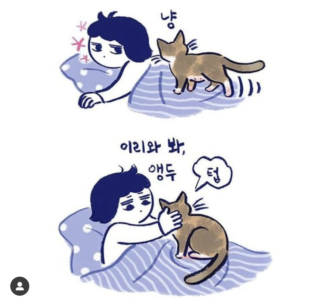 반려 동물을 기르는 사람들이 매일 느끼는 감정 | 인스티즈