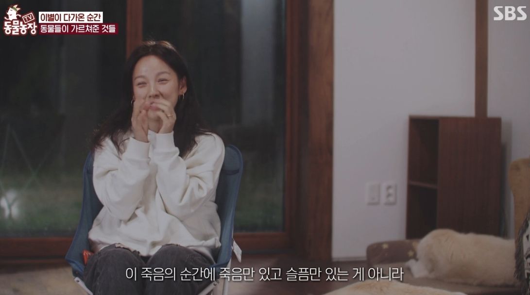 이효리 반려견 순심이가 죽기 전 다른 동물들이 보인 반응 | 인스티즈