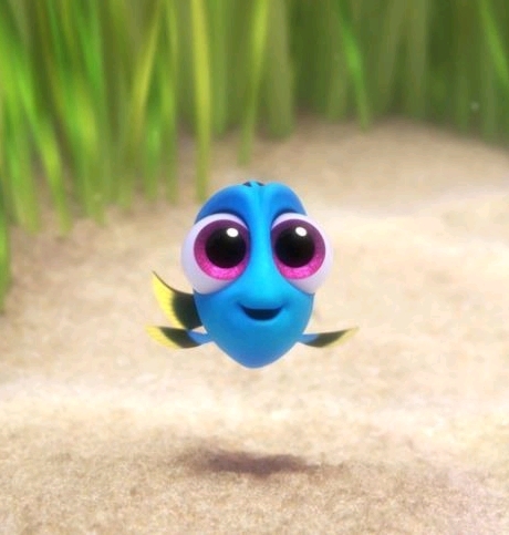 도리를 찾아서 실사화 가상 캐스팅 | 인스티즈