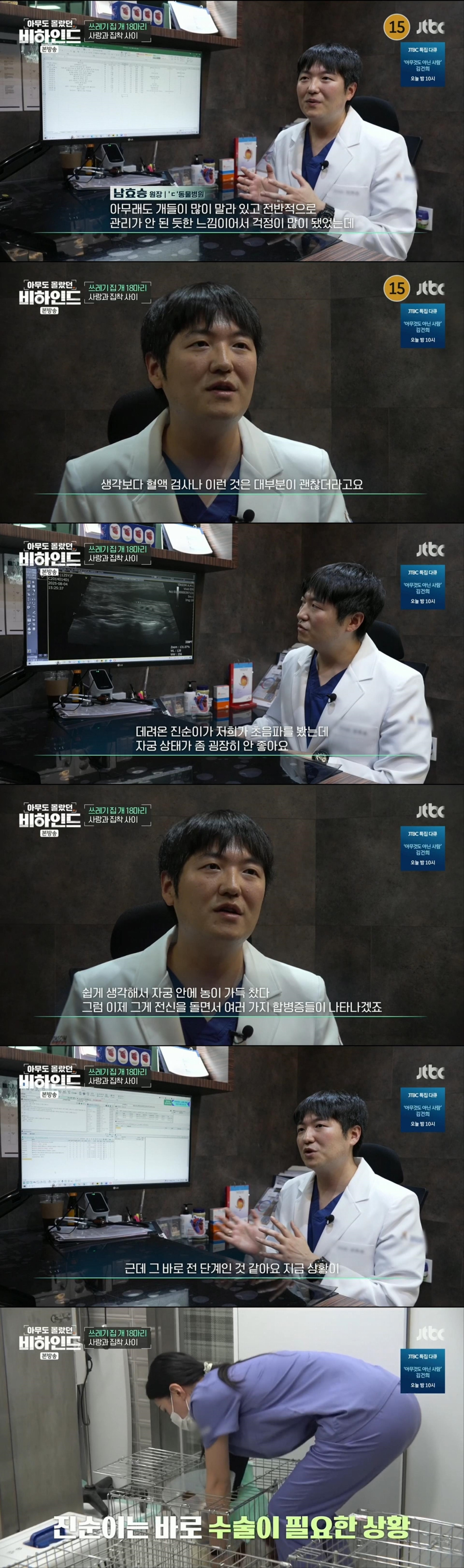 할머니와 할아버지와 함께 쓰레기집에서 살던 18마리의 강아지들 | 인스티즈