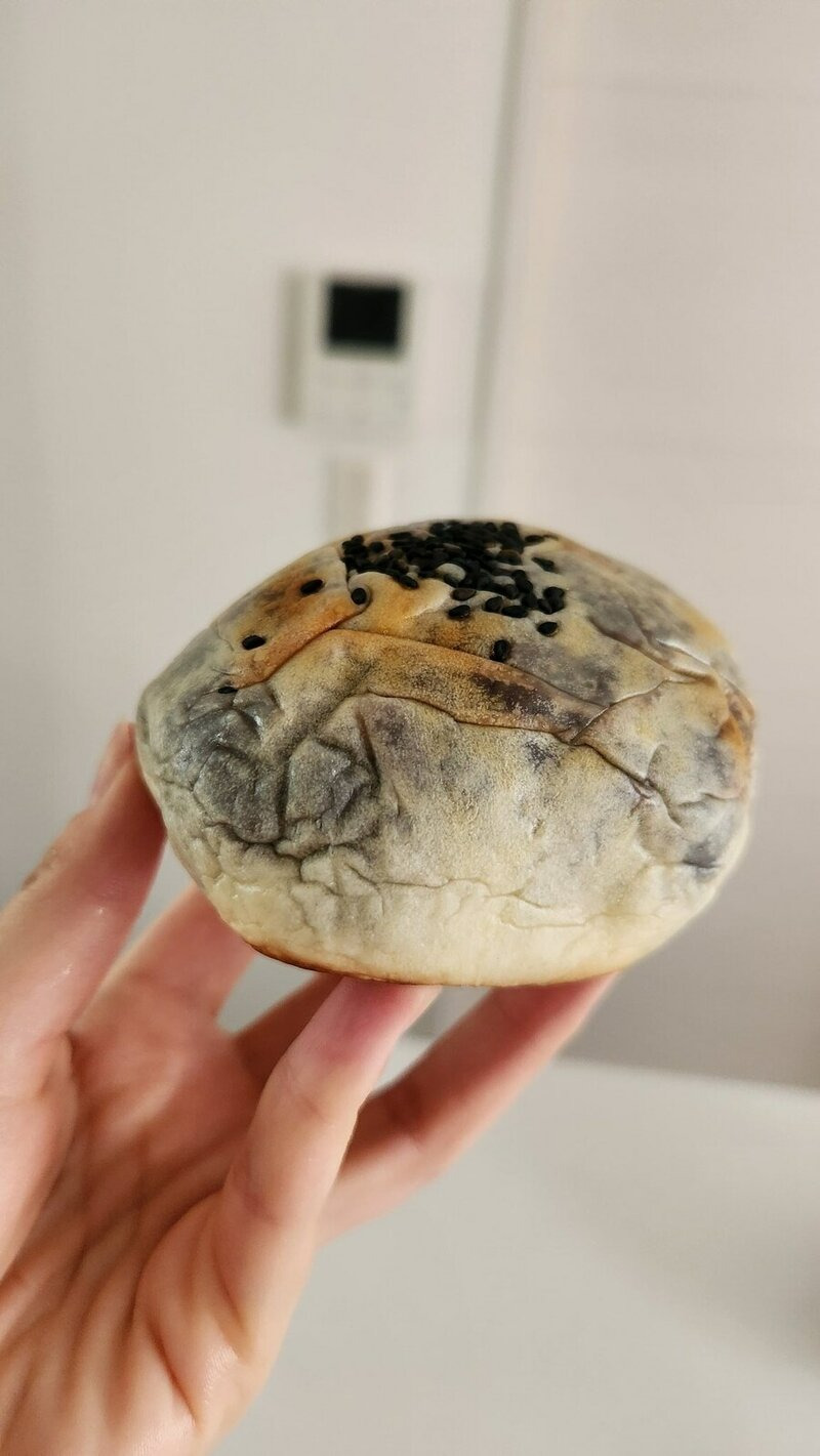 일본의 시스루 단팥빵 | 인스티즈