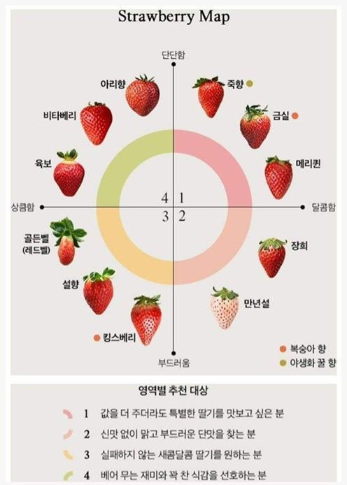 생각보다 다양한 딸기 종류 | 인스티즈