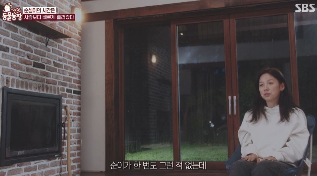 이효리 반려견 순심이가 죽기 전 다른 동물들이 보인 반응 | 인스티즈
