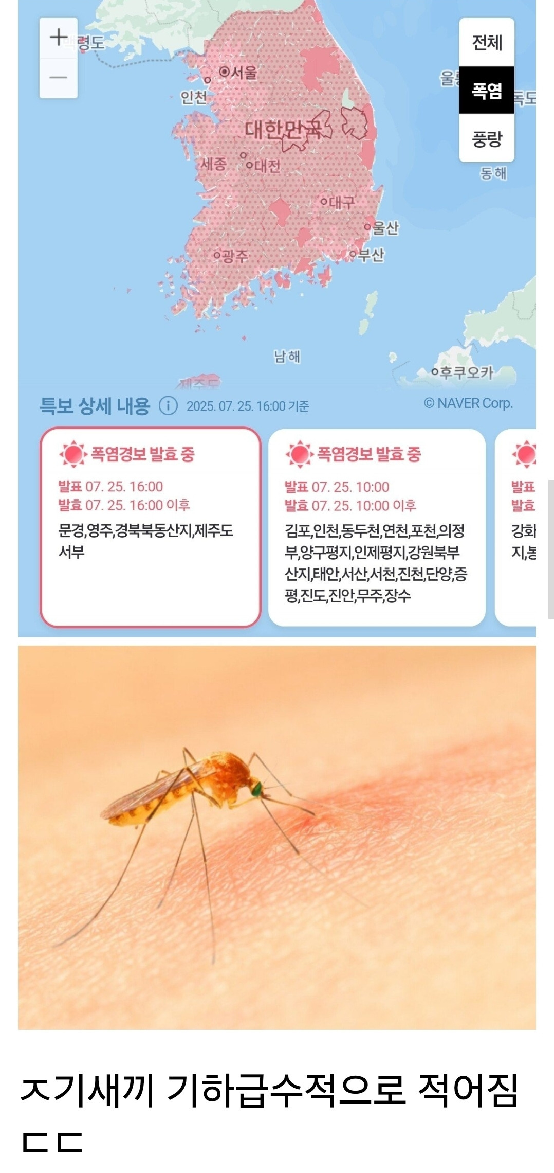 그나마 무더운 날씨의 장점.jpg | 인스티즈