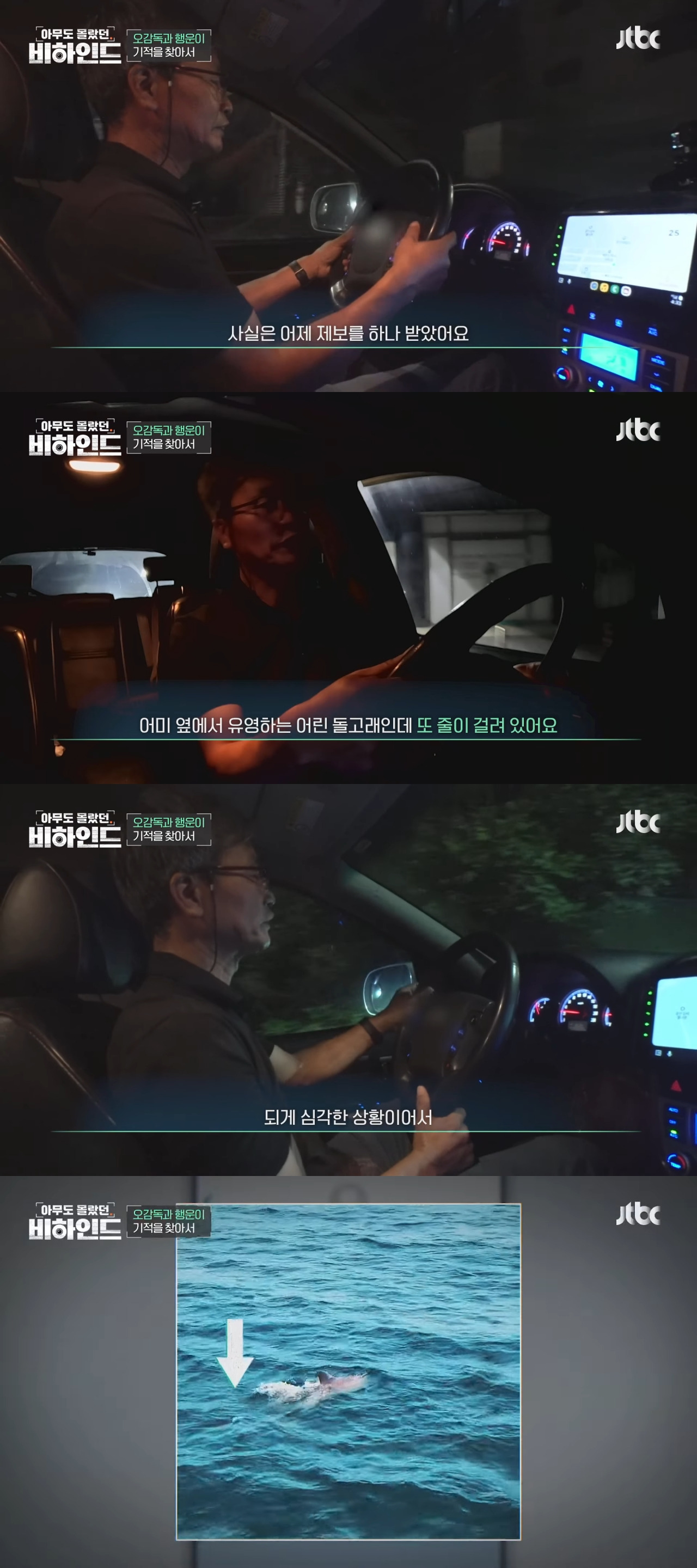 인간이 버린 쓰레기에 걸려 고통 받는 돌고래들을 따라다니는 돌고래 아빠 | 인스티즈