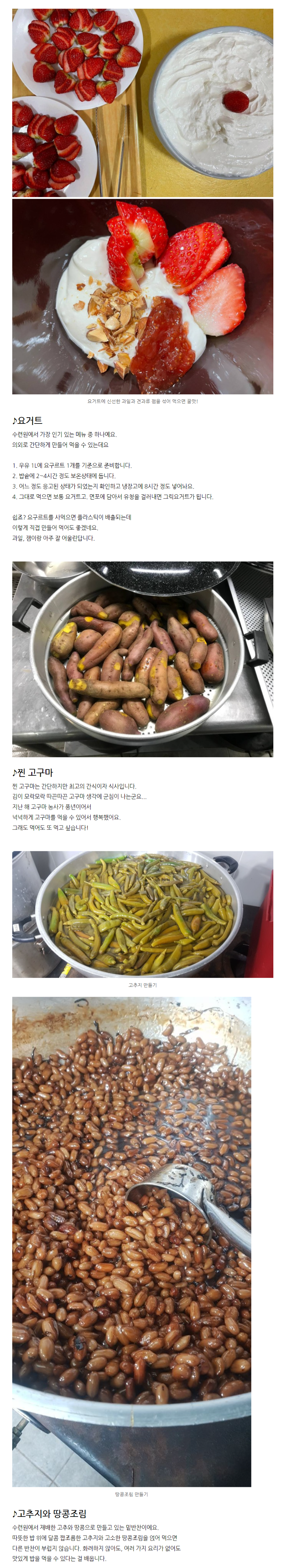 요즘 사찰에서 만들어 먹는 절밥 퀄리티 수준 | 인스티즈