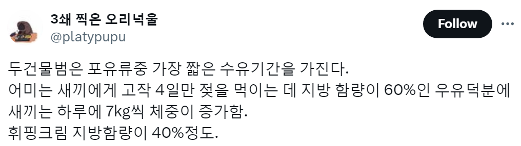 포유류 중에서 가장 짧은 수유기간을 가진 동물 | 인스티즈