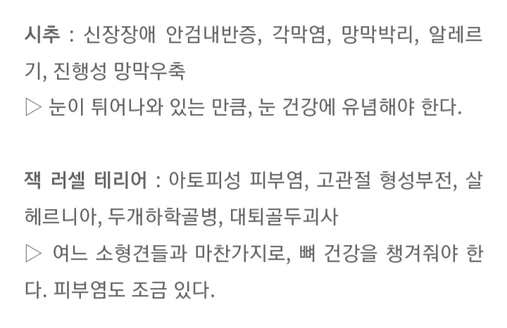 품종묘 보다 품종견에 관대한 사람들.jpg | 인스티즈