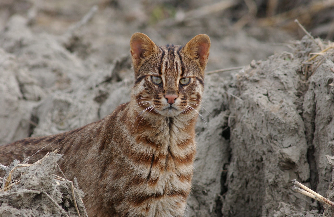 인터넷에서 이름을 잃어버린 자들 | 인스티즈