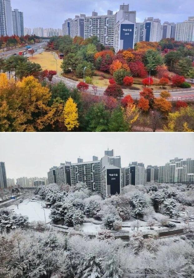 우리나라에서 열흘 만에 일어난 일 | 인스티즈