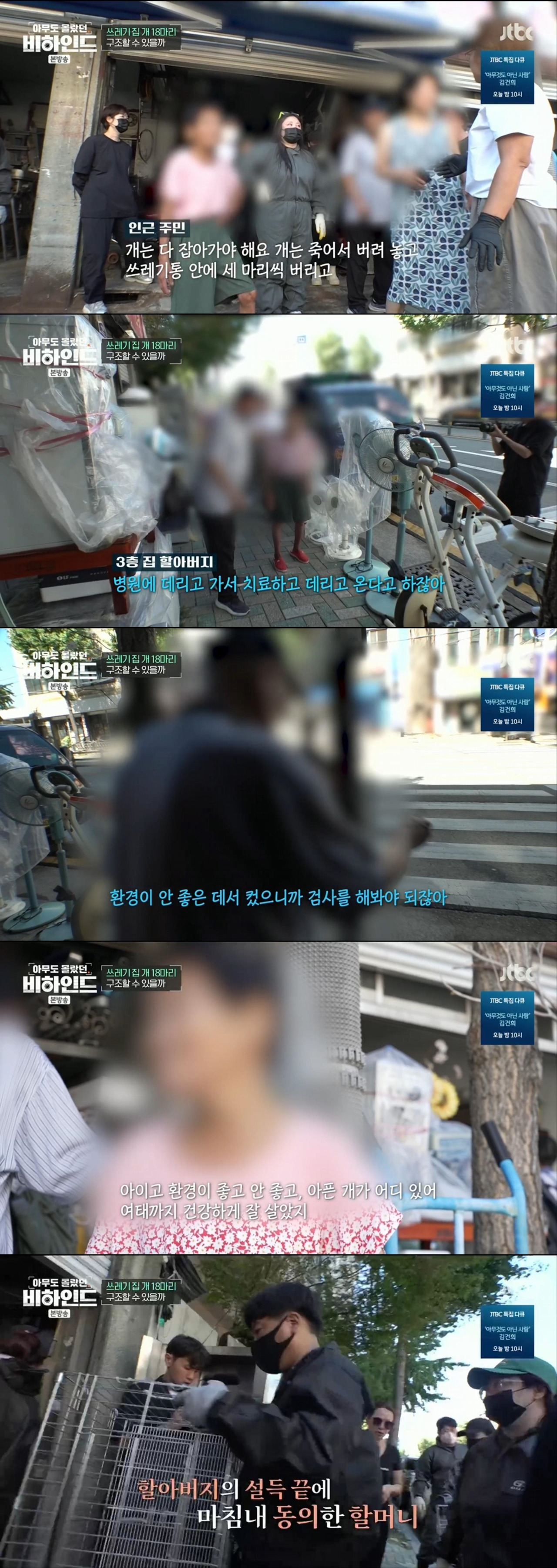 할머니와 할아버지와 함께 쓰레기집에서 살던 18마리의 강아지들 | 인스티즈