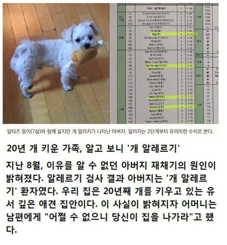 20년간 강아지를 키운 가족 ...그러나... | 인스티즈
