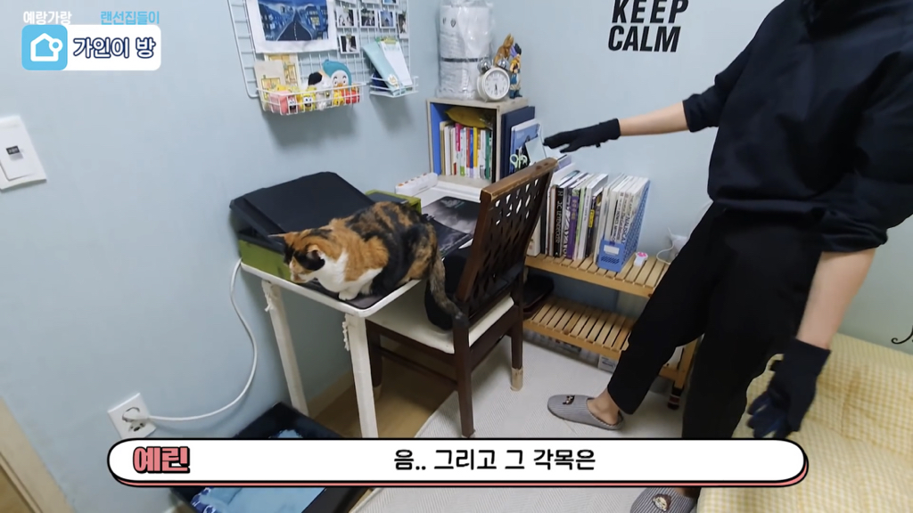 물욕 없는 가인학생이 사는법 | 인스티즈