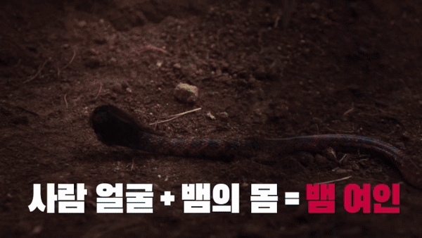 코미디 컴피티션 나와서 다 씹어먹는 박나래.jpg | 인스티즈