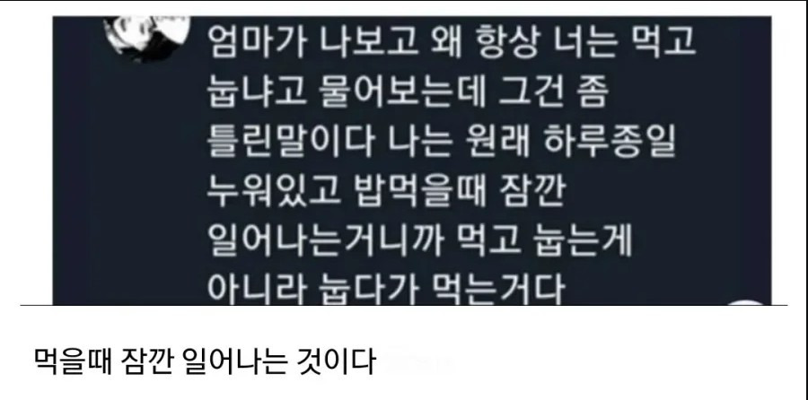 먹고 바로 눕는다는 말은 틀렸다 | 인스티즈