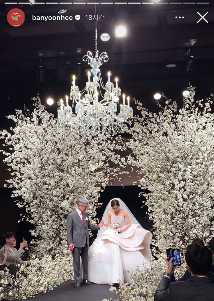 결혼식장을 벚꽃나무로 채운 티아라 효민 | 인스티즈