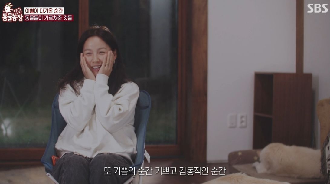 이효리 반려견 순심이가 죽기 전 다른 동물들이 보인 반응 | 인스티즈