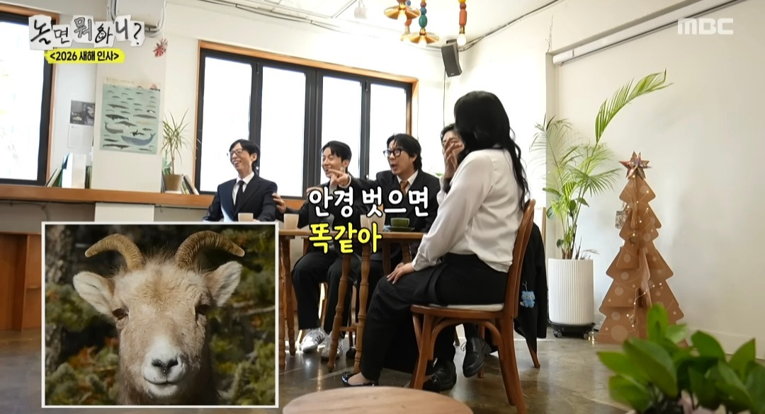 [놀면뭐하니] 모두가 인정한 관상가가 꼽은 유재석 닮은 꼴 동물ㅋㅋ | 인스티즈