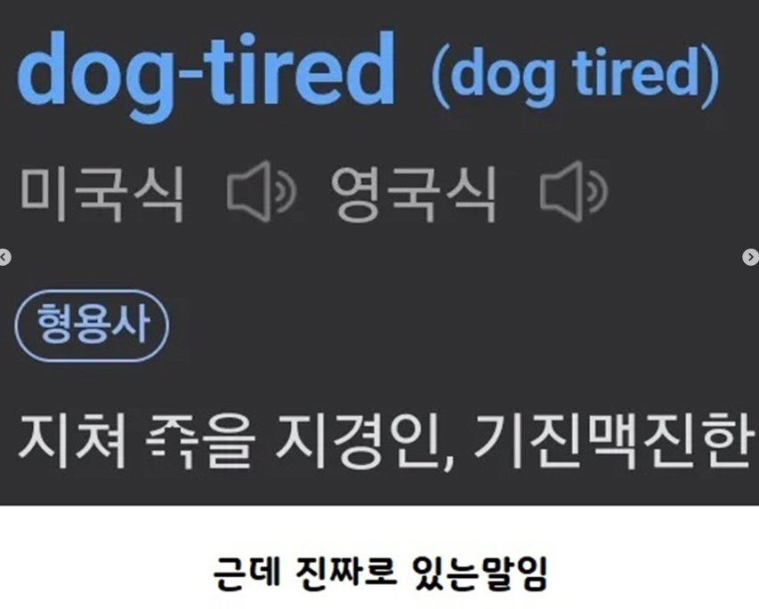 "개피곤하다"가 영어로 뭔지 앎? | 인스티즈