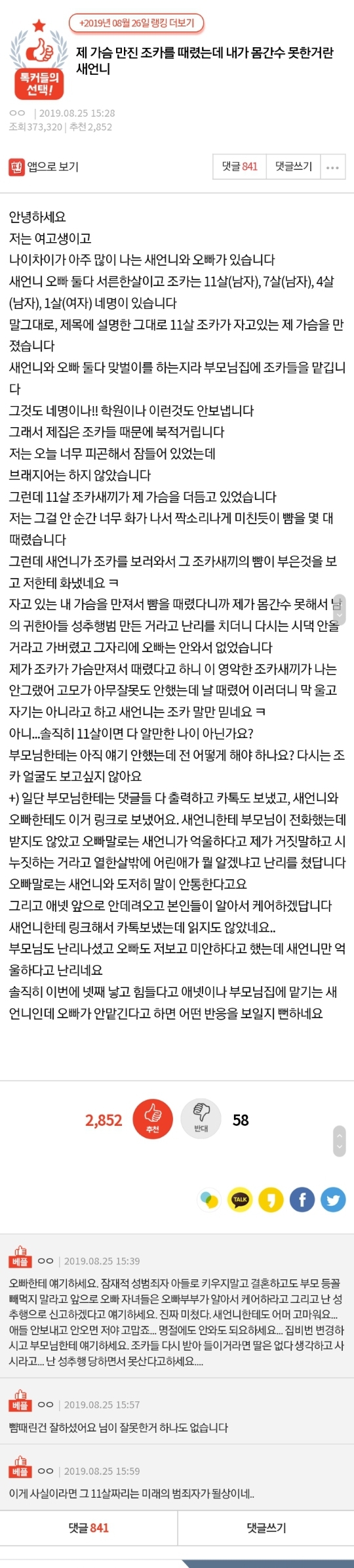 제 가슴 만진 조카를 때렸는데 내가 몸간수 못한거란 새언니 | 인스티즈