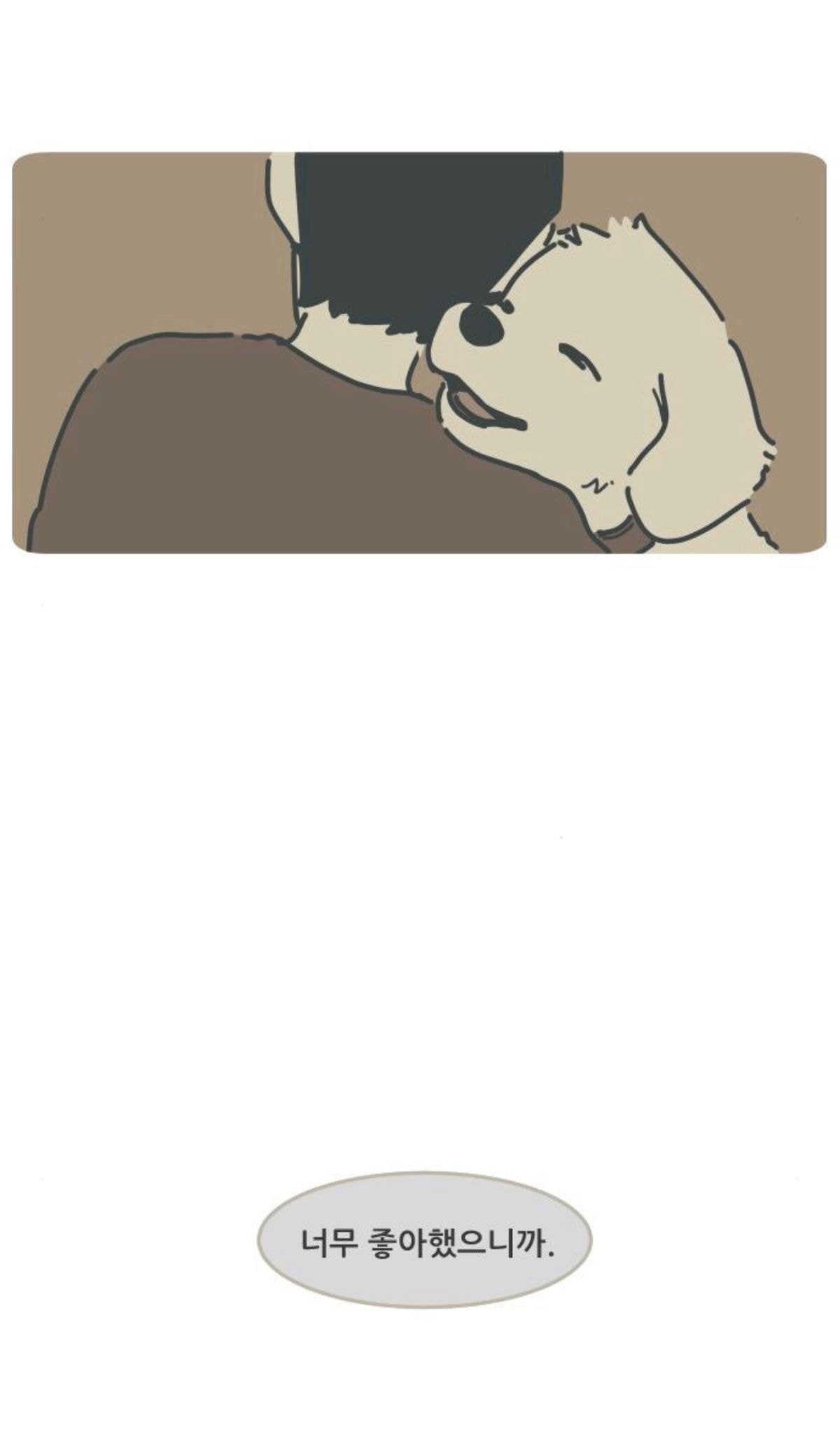 죽고 난 뒤 주인이 자신을 버린게 아니라는걸 안 고양이 | 인스티즈