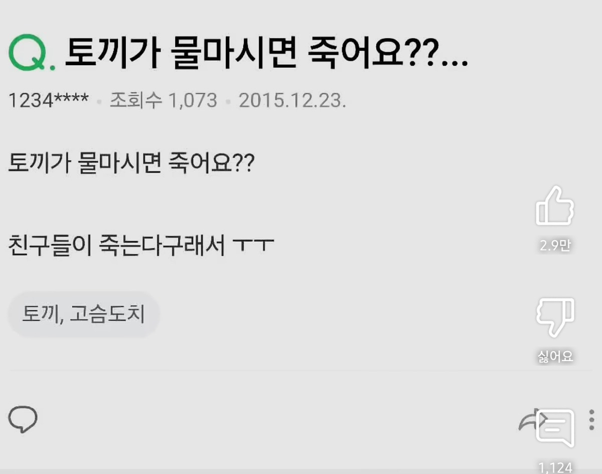 토끼가 물마시면 죽어요?? | 인스티즈