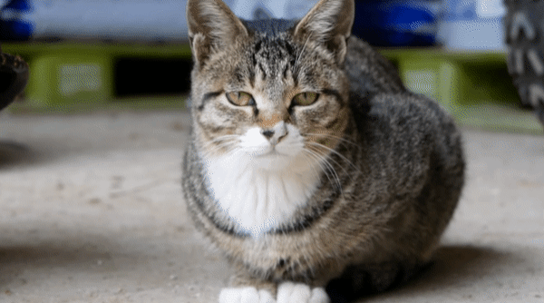 [hahaha] 양어장 일짱 하연님 | 인스티즈