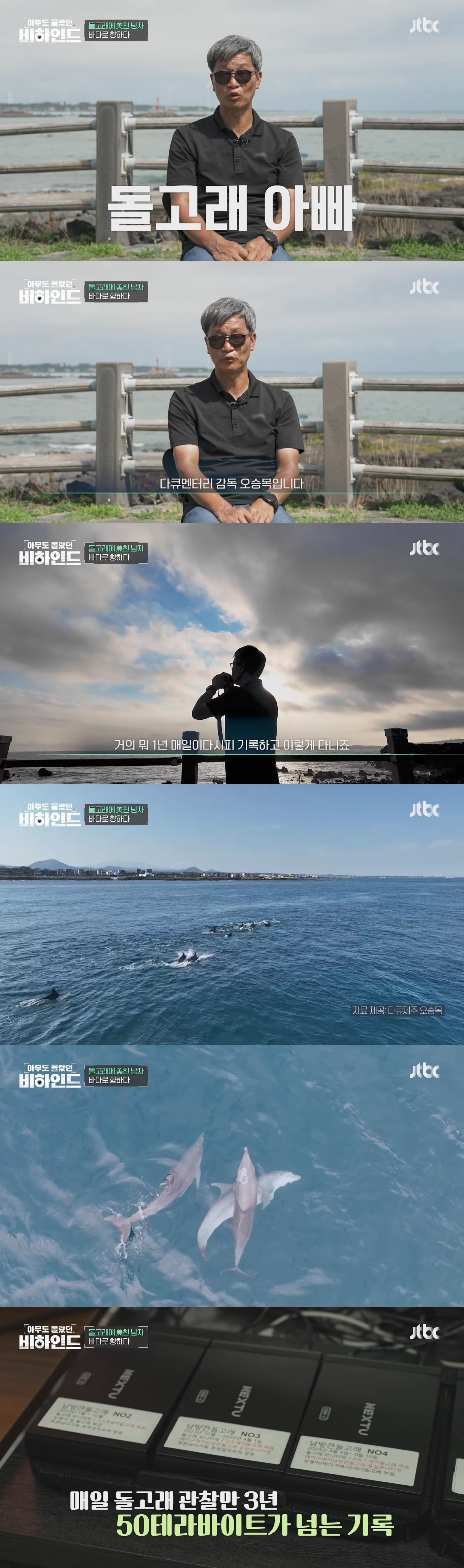 인간이 버린 쓰레기에 걸려 고통 받는 돌고래들을 따라다니는 돌고래 아빠 | 인스티즈