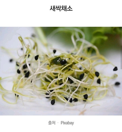 유통기한 절대 넘기지 말라는 음식 5 | 인스티즈