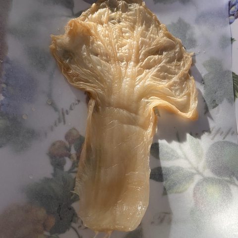 5분컷 묵은지말이 | 인스티즈