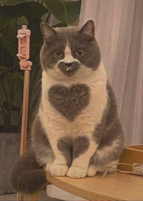 저기인디고블루바다에창백한입술한조각헤엄쳐간다그때그뜨거운레몬맛이야 | 인스티즈