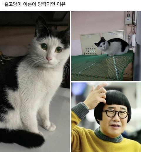이인 이미지
