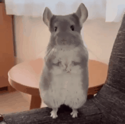 귀여워~ 몇 살이야? | 인스티즈