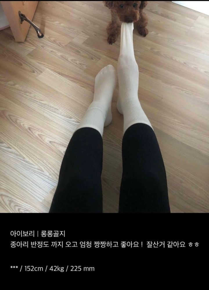 너무 귀여운 쇼핑 후기 | 인스티즈