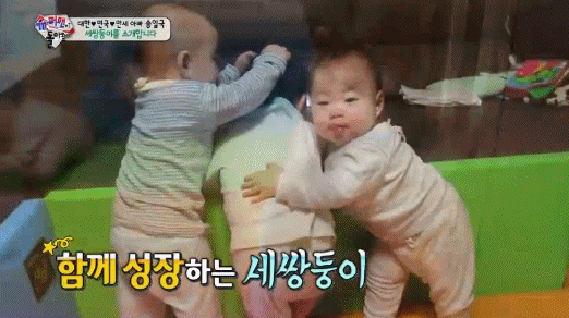 한국인이 미치게 사랑했던 랜선 조카들 모아보기 | 인스티즈