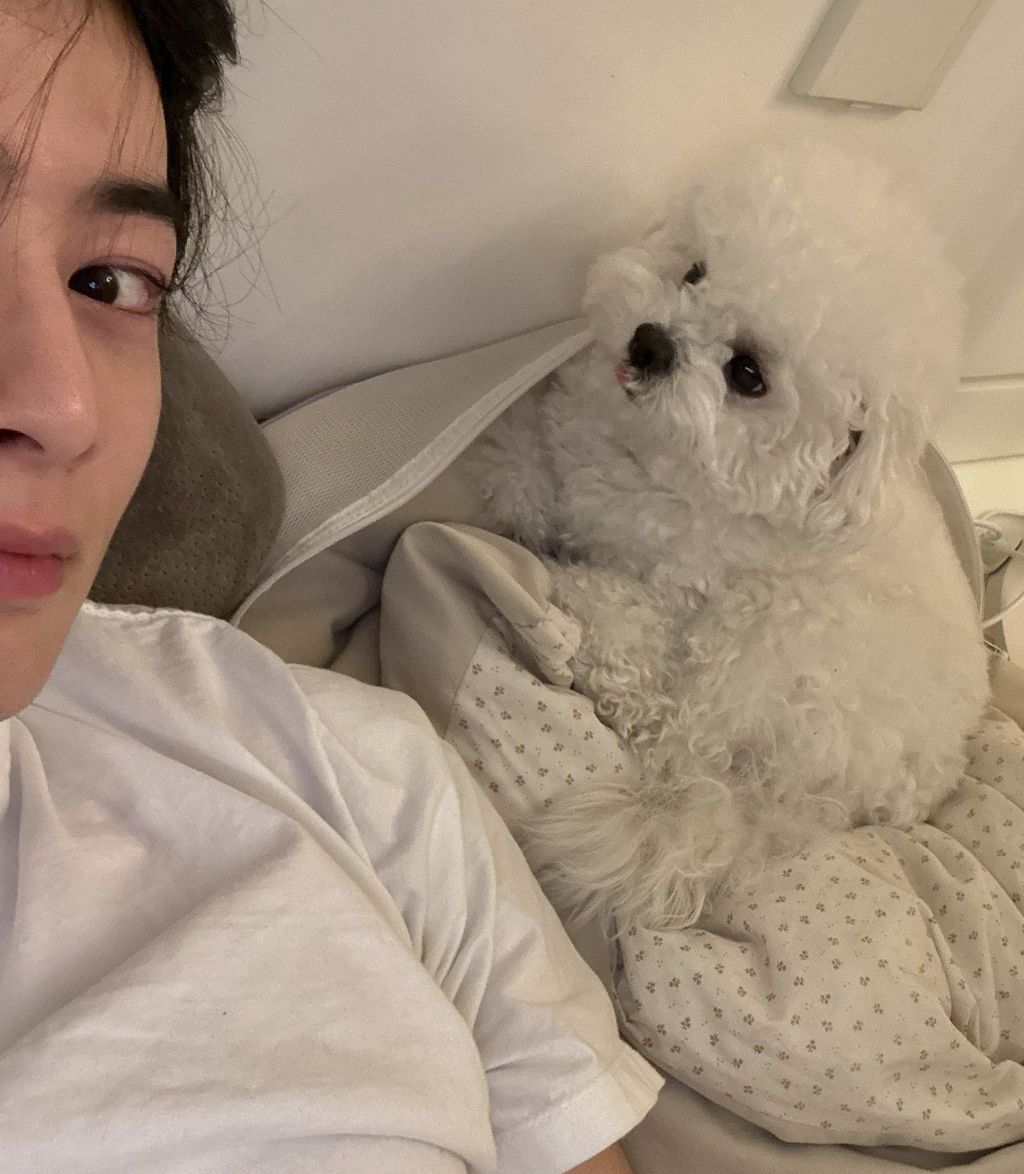 차은우 본인 강쥐 동동이랑 컨포찍음.jpg | 인스티즈