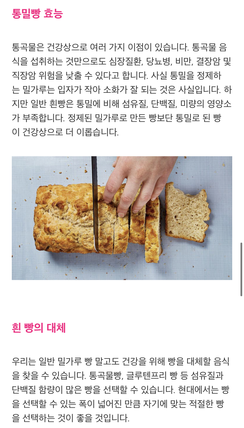 통밀빵을 먹어야 하는 이유 | 인스티즈