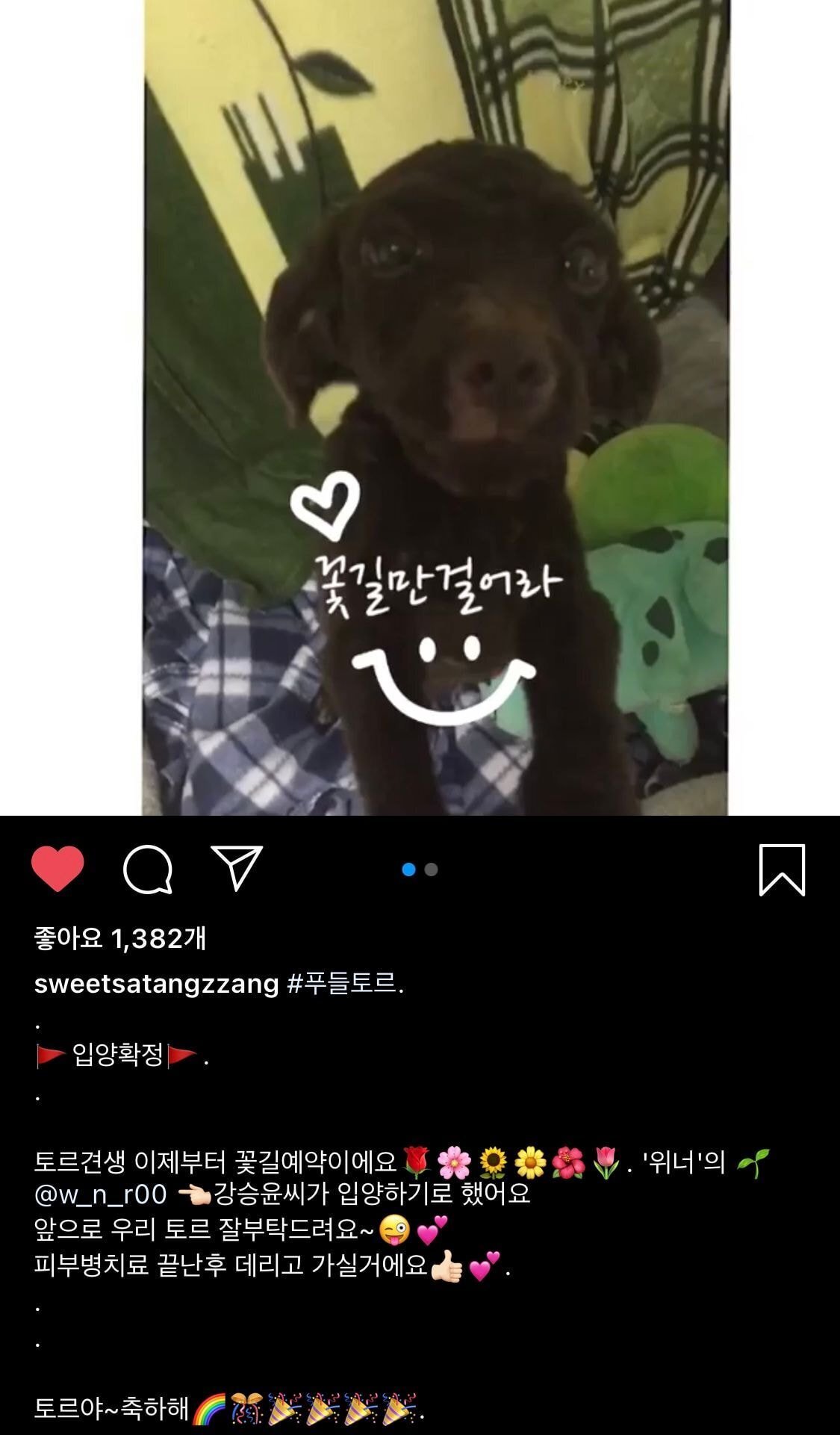 보는 사람도 행복해지는 강승윤 강아지 토르의 변화.jpg | 인스티즈