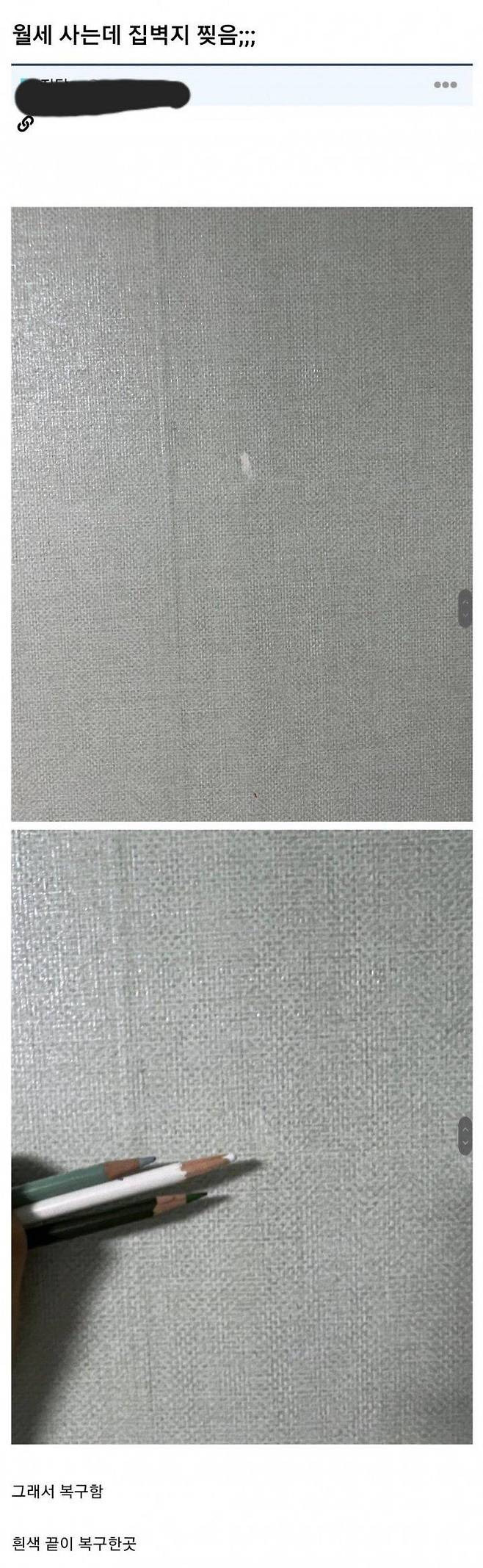 월세 사는데 벽지 찢음 | 인스티즈