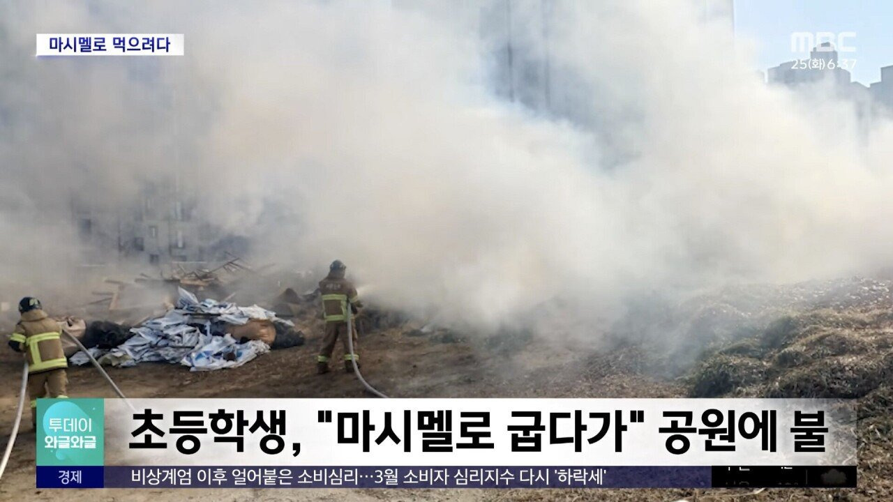 초등학생, "마시멜로 굽다가.." 공원에 불 | 인스티즈