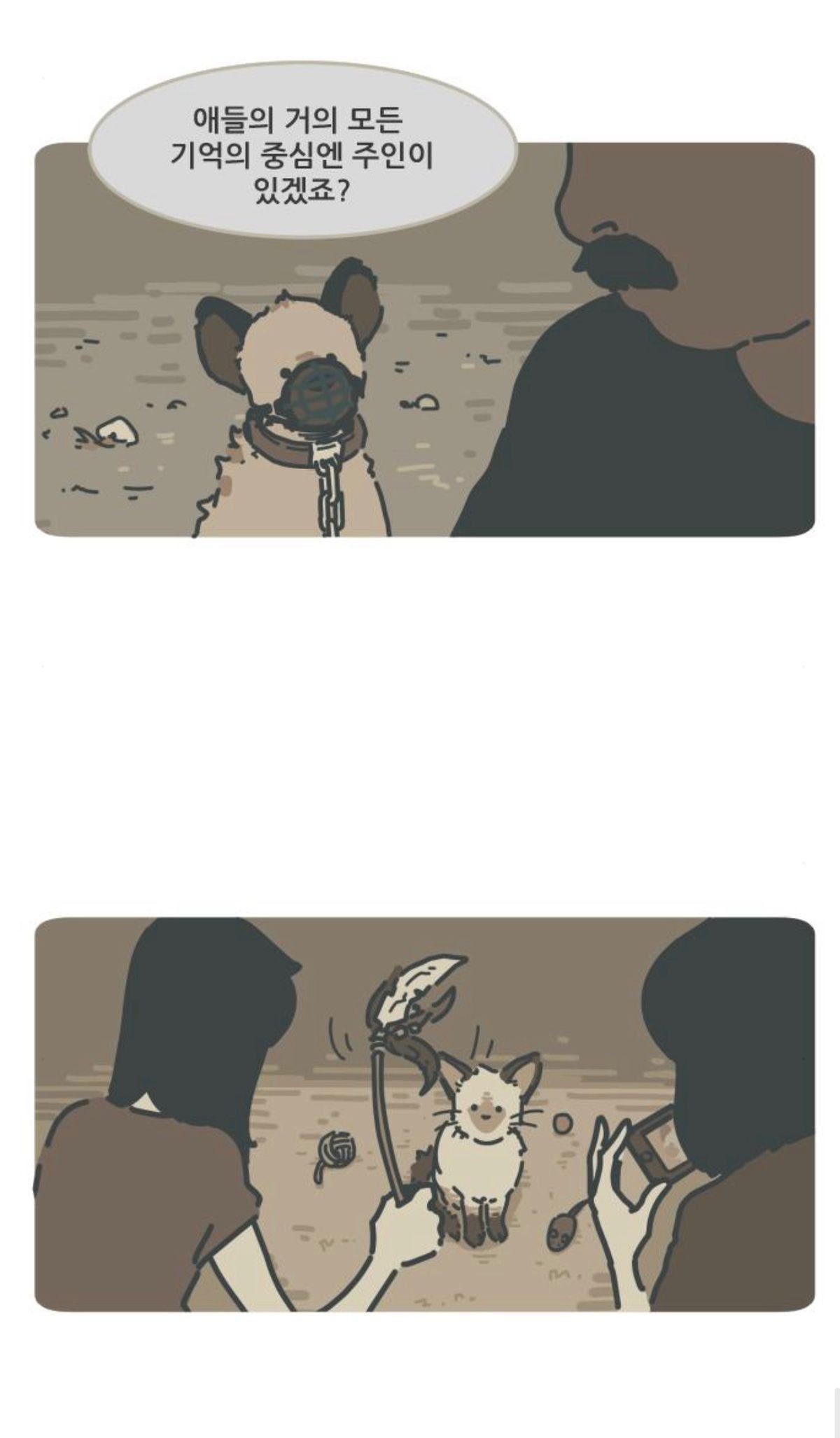 죽고 난 뒤 주인이 자신을 버린게 아니라는걸 안 고양이 | 인스티즈