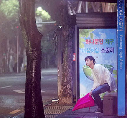 내가 강아지를 한 명 주웠는데 gif | 인스티즈