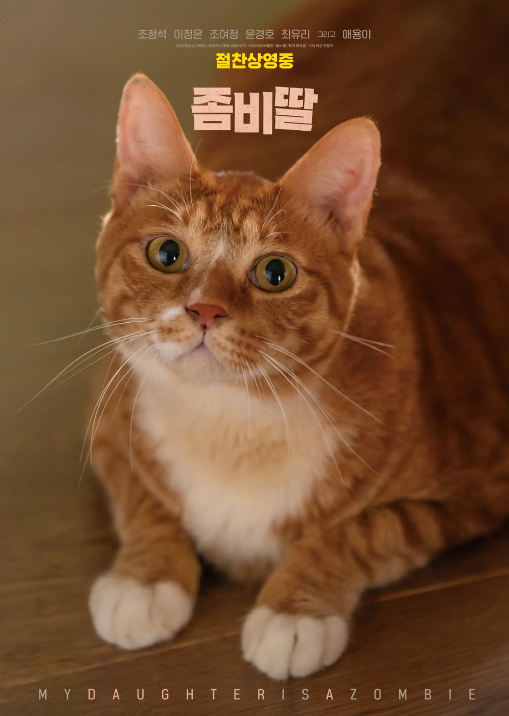 세계 고양이의 날 기념 좀비딸 애용이 포스터 | 인스티즈