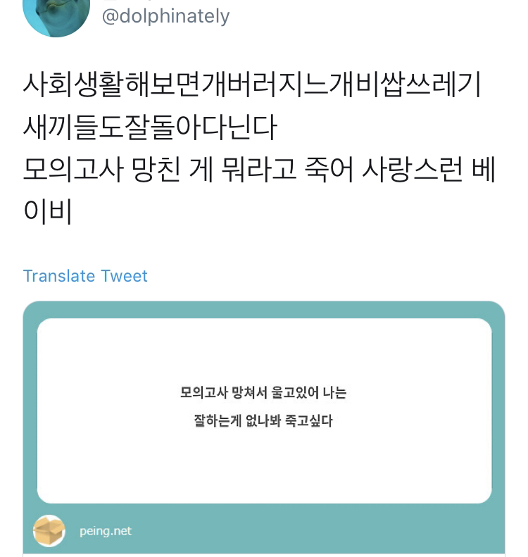 모의고사 망친 게 뭐라고 죽어 사랑스런 베이비.twt | 인스티즈
