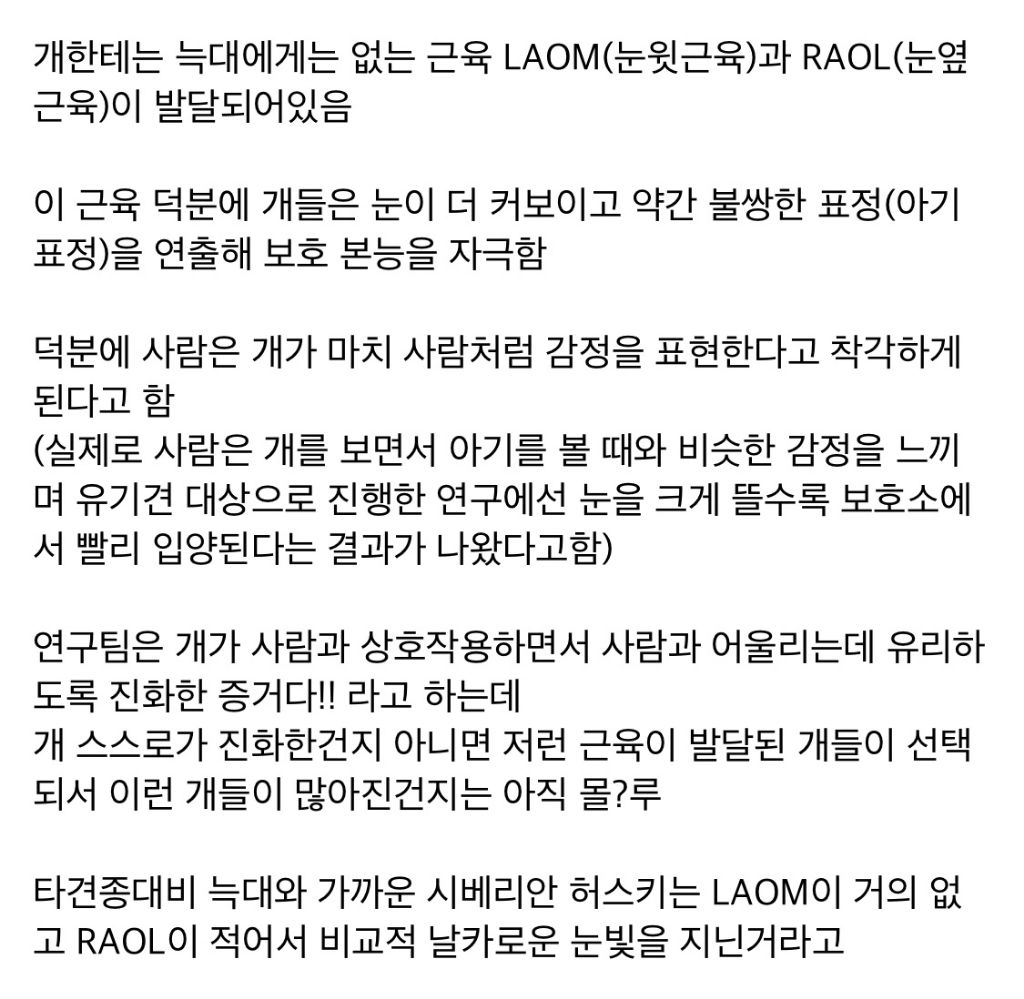 늑대에게는 없지만 개에게는 있는 근육 | 인스티즈